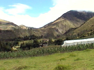 DSC00041
