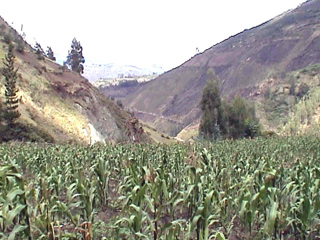 DSC00046