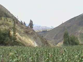 DSC00047