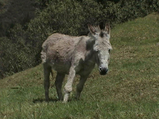 DSC00072