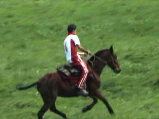 DSC00131